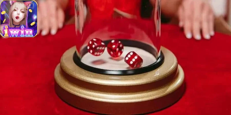 Người chơi trải nghiệm sicbo iwin68 trên điện thoại di động